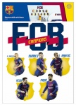 FC Barcelona muurstickers 14 stuks FC Barcelona muurstickers 14 stuks