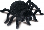 Gerardo's Toys vogelspin Spy Spider RC 15 cm zwart Gerardo's Toys vogelspin Spy Spider RC 15 cm zwart