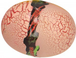 Johntoy verrassings-ei Dinosaur Fossil slijm roze Johntoy verrassings-ei Dinosaur Fossil slijm roze
