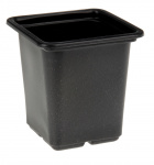Pro Garden kweekpotten 7,5 x 7,5 x 8 cm zwart 12 stuks Pro Garden kweekpotten 7,5 x 7,5 x 8 cm zwart 12 stuks