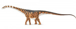 Safari dinosaurus Malawisaurus junior 35 cm rubber wit/bruin/zwart Safari dinosaurus Malawisaurus junior 35 cm rubber wit/bruin/zwart